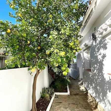 Olive Pool - Sea View - 3bdr * Torremuelle